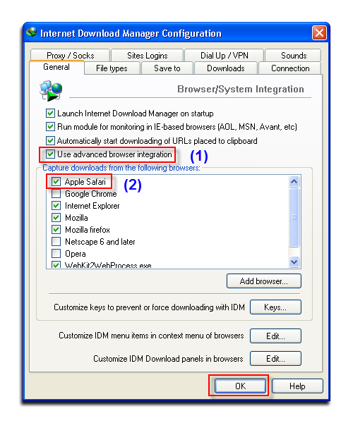 Fig 3: Internet Download Manager Configuration